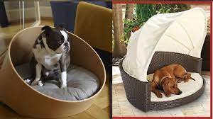 Creative Pet Beds