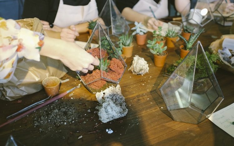 Terrarium Singapore