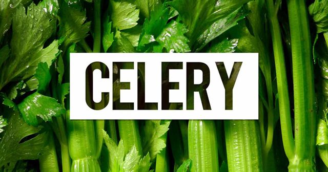 The benefits of celery for your body