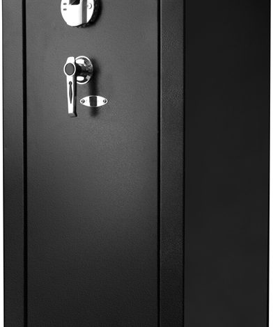biometric gun safe