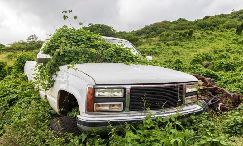 cash-for-old-unwanted-cars-sydney