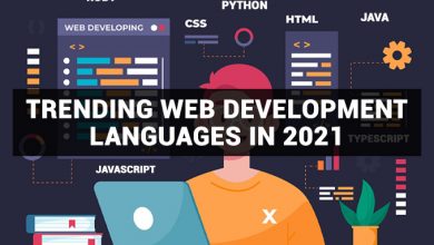Photo of Trending Web Development Languages in 2021