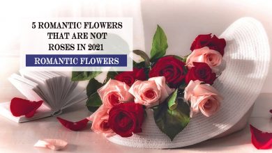 Photo of 5 Romantic Flowers That Are Not Roses In 2021