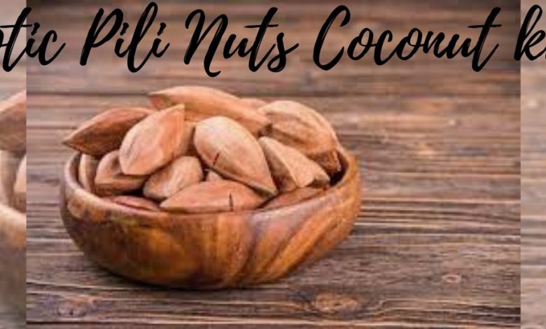 Exotic Pili Nuts Coconut kefir