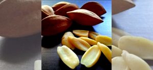 Exotic Pili Nuts Coconut kefir