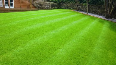 Photo of Benefits of Using Artificial Grass at a Homeowners Yard