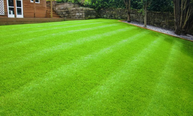 Artificial Grass Abu Dhabi
