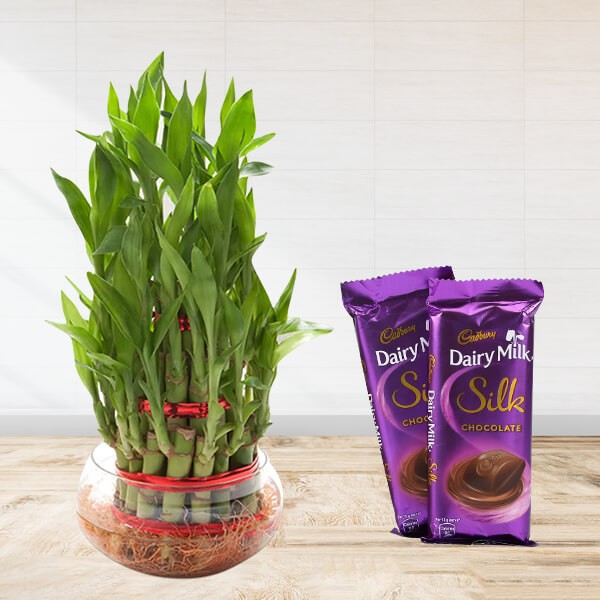 Plant Gifts