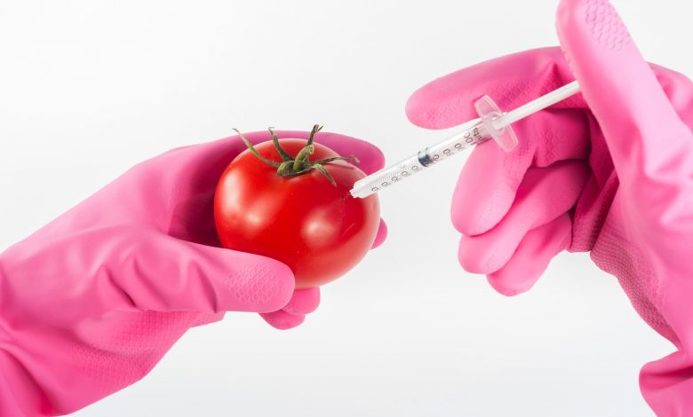 are gmos safe