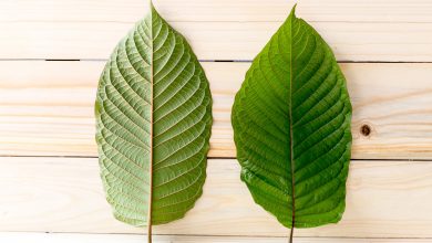 Photo of 5 PROVEN FACTS WHY KRATOM TEA IS SAFE