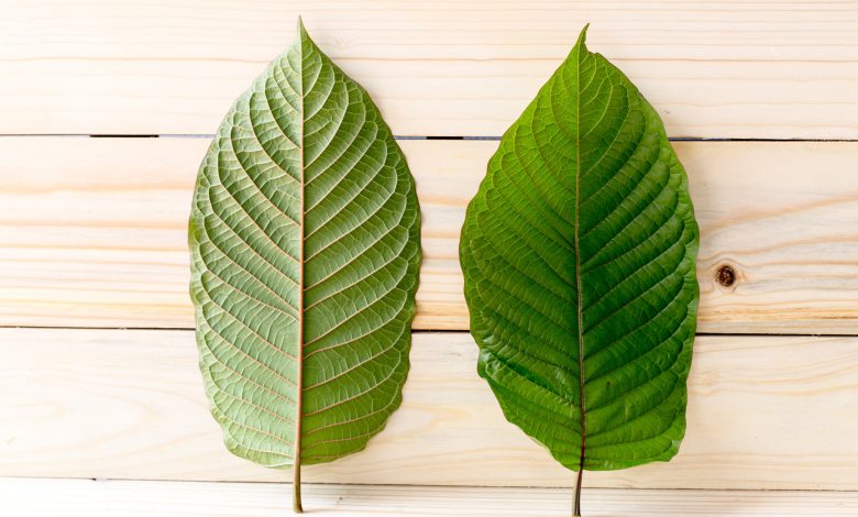 choosing a Kratom vendor
