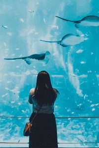 places to visit in dubai