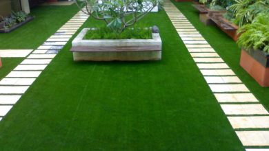 Photo of Striking Attributes Of An Artificial Lawn