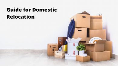 Photo of Complete Guide for Domestic Relocation with Family