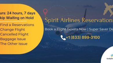 Photo of How to Book Spirit Airlines Reservations and Manage Spirit Air Bookings