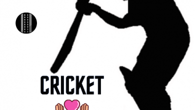Photo of Cricket companion – An Overview