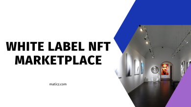 Photo of Overview on White Label NFT Marketplace Development