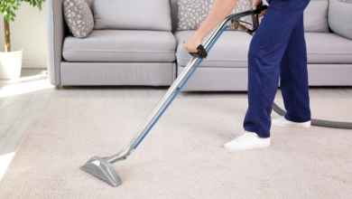 Photo of Why Do You Need Professional Carpet Cleaning Service in Melbourne?
