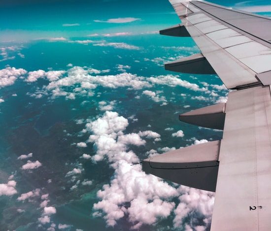 plane in the air