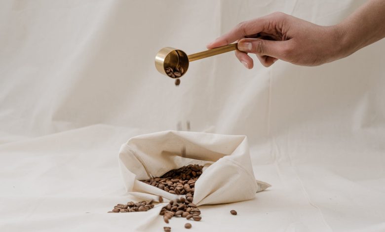 Choosing the Best Coffee Beans that are Suitable for Your Palate