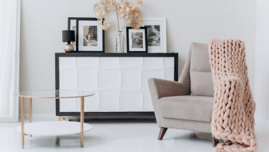 Photo of Modani furniture Review
