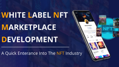Photo of How Did White Label Nft Marketplace Development Hype Start?
