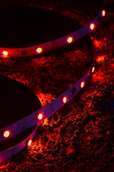 These Are The Most In style Colour-Altering LED Strip Lights