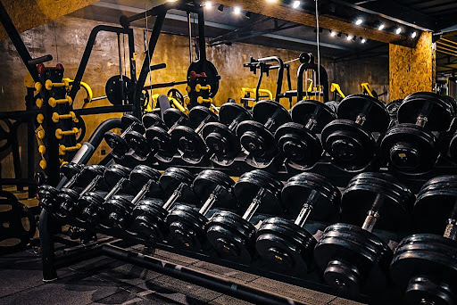 home gym dumbbell rack