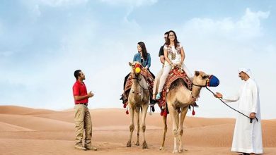 Photo of Camel Ride Dubai