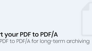 Photo of PDF to PDF/A Conversion Explained: Why It Matters for Archiving