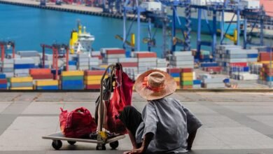 Photo of Regional Trade Dynamics: Understanding Southeast Asian Tile Markets and Applications